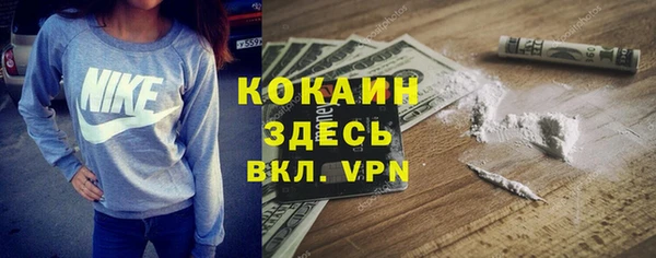 молекула духа Белокуриха