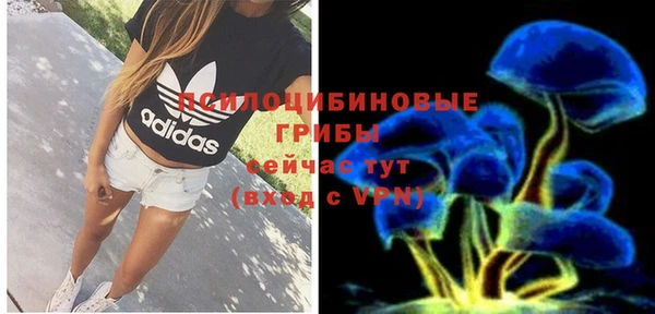 MDMA Беломорск