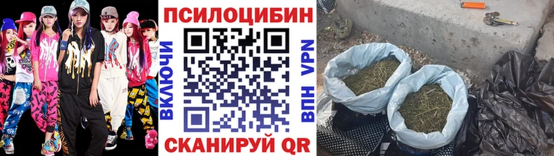 Галлюциногенные грибы Psilocybine cubensis  OMG сайт  Шахты 
